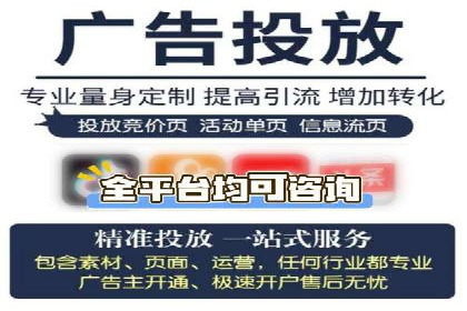 百度推广运营实战：成功案例解析